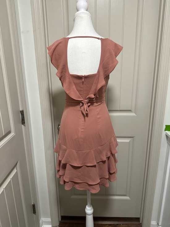 Express Rose Ruffle V-Neck Mini Dress - Picture 4 of 6